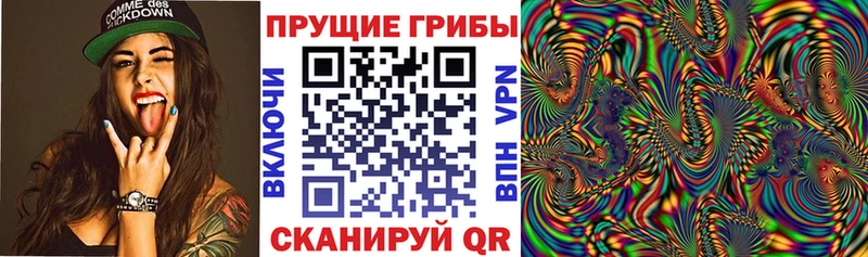 Псилоцибиновые грибы Cubensis  цена   Прохладный 