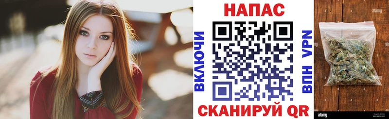 Бошки марихуана VHQ  наркотики  Прохладный 